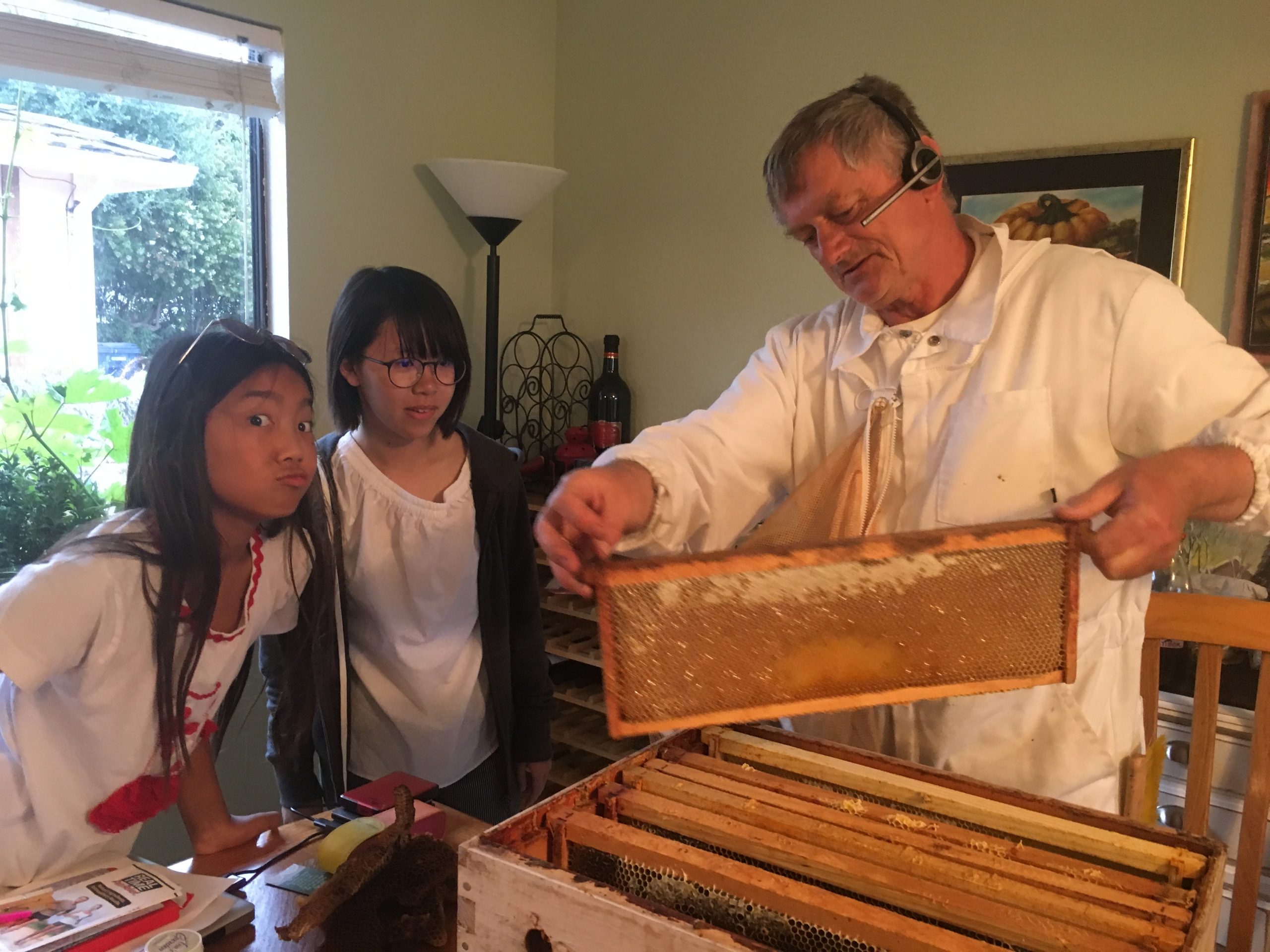 PROPOLIS: A bees´s gift for a long and healthy life
